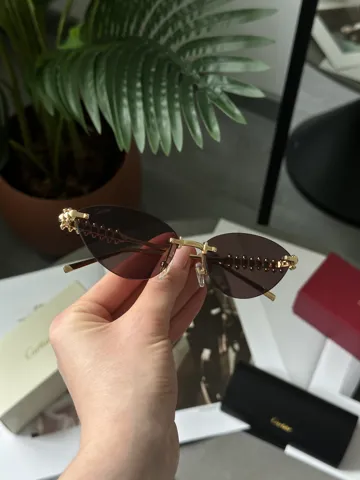 Cartier Clash Brown/Gold CT0543S 001L cat.2 58/17/140
